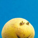 Resteverwertung Kartoffel